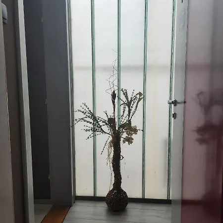 In Club 4* Vrnjačka Banja